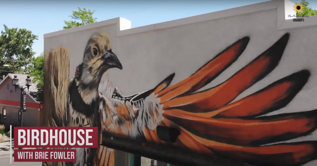 Experience Erie with Birdhouse